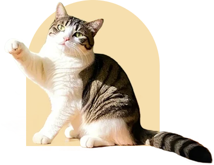 a pet owner's paradise right