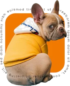 product category dog right