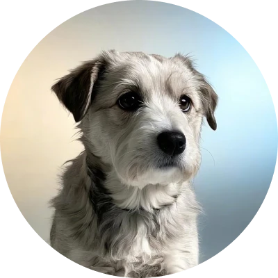 where love meets innovation1