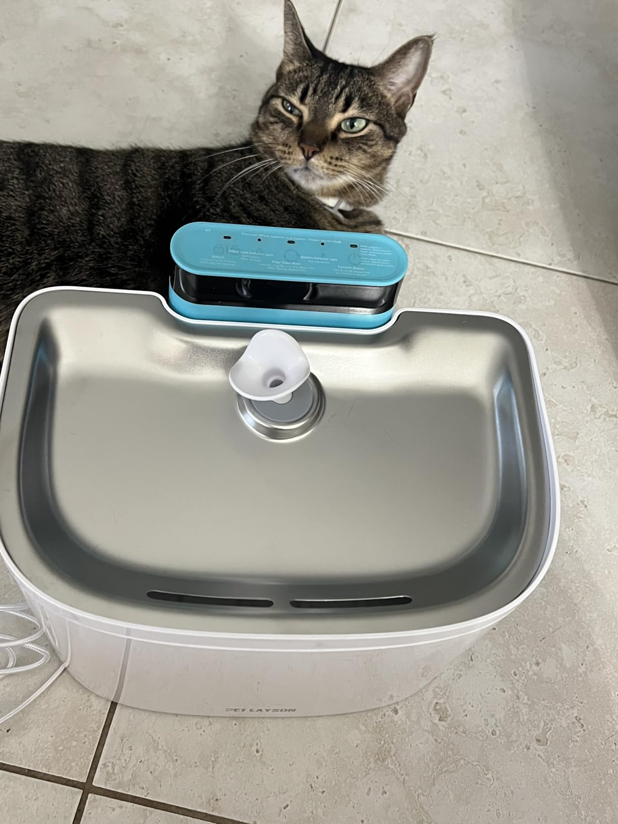 pet layson pumpless cat water fountain, smart cordless fountains battery operated, 3.6l/122oz with maglev valve technology rechargeable water dispenser for cat &dog, 2 filters,2 nozzles(black, m1)