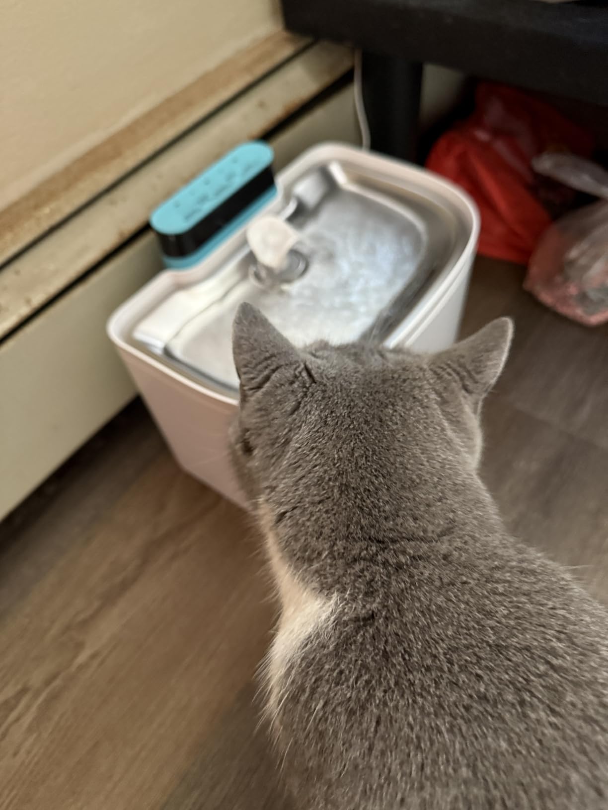 pet layson pumpless cat water fountain, smart cordless fountains battery operated, 3.6l/122oz with maglev valve technology rechargeable water dispenser for cat &dog, 2 filters,2 nozzles(black, m1)