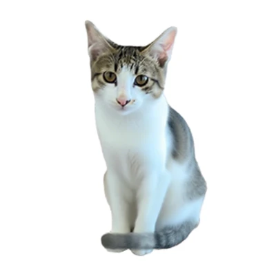 benny– the gentle guardian