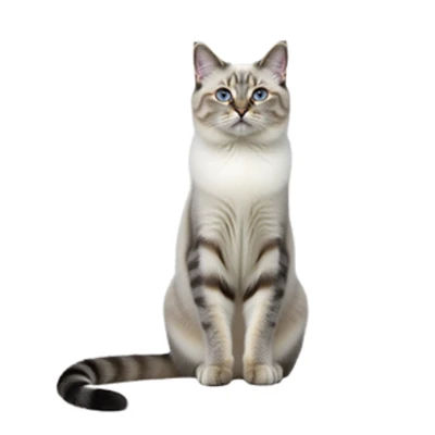 ollie – the curious explorer